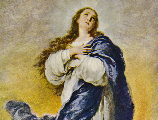 QW_12.08.2020_ImmaculateConceptionMary_510x389px.jpg